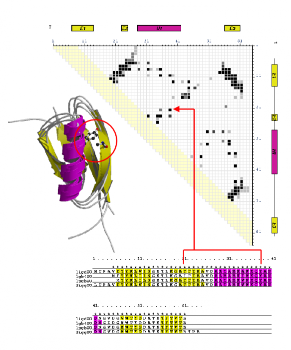 An example of a consensus contact map